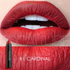 19 Colors Matte Lipsticks Waterproof Matte