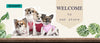 Pet clean Dog Toothbrush Three Head Pet Tooth Brush